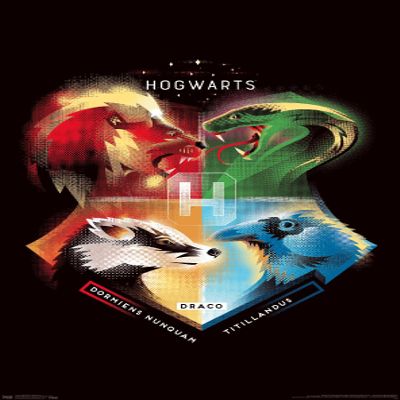 Trends International The Wizarding World: Harry Potter - Hogwarts House Crests Wall Poster, 22.375" x 34", Premium Unframed Version