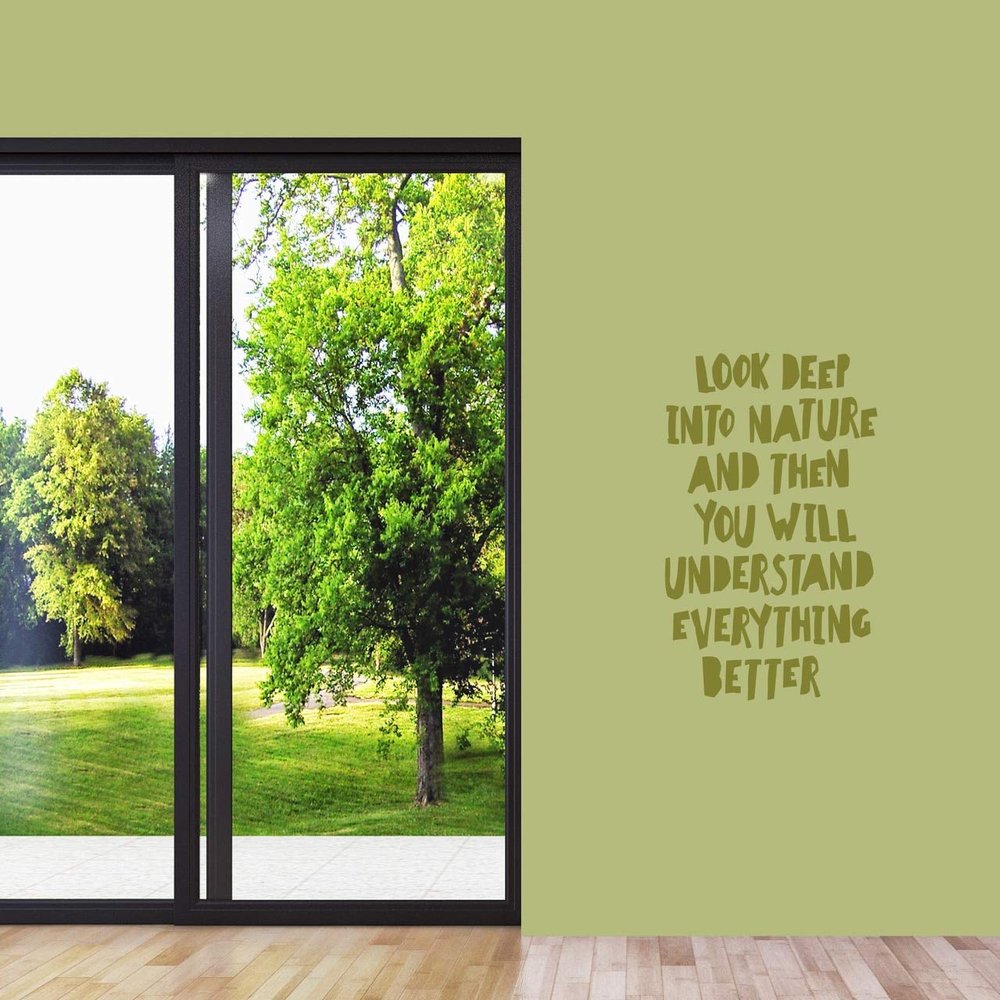 Sweetums Signatures Look Deep Into Nature Wall Decal 22" Wide x 36" Tall Hot Pink