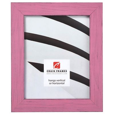 Craig Frames Jasper Picture Frame, 24 x 33 Inch, Country Petticoat Pink