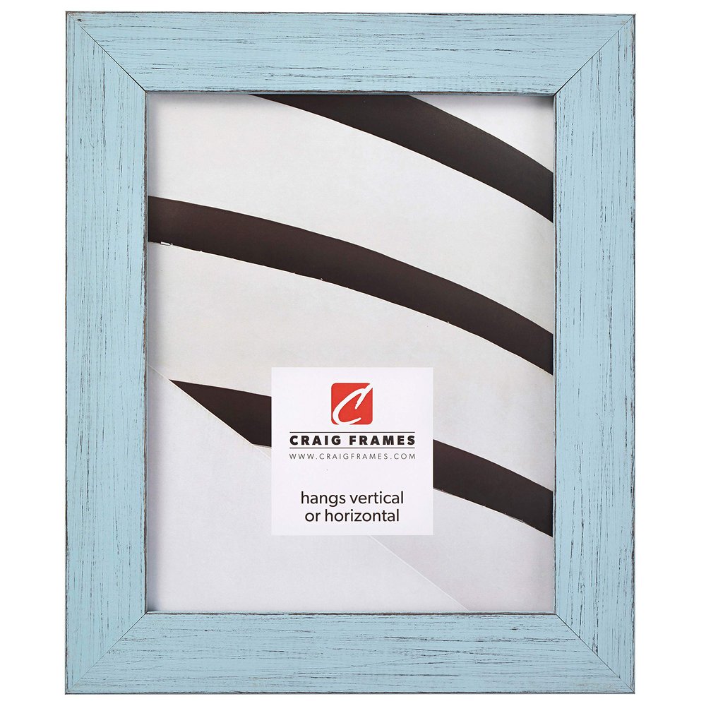 Craig Frames Jasper Picture Frame, 24 x 33 Inch, Country Sky Blue