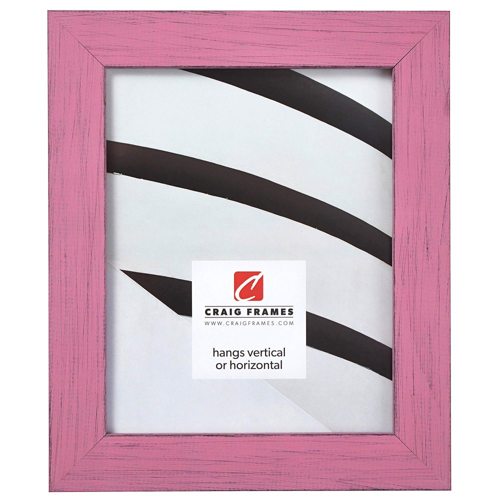 Craig Frames Jasper Picture Frame, 22 x 34 Inch, Country Petticoat Pink