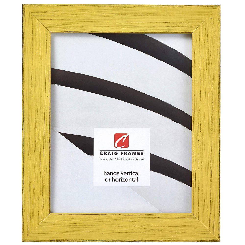 Craig Frames Jasper Picture Frame, 24 x 33 Inch, Country Southern Yellow