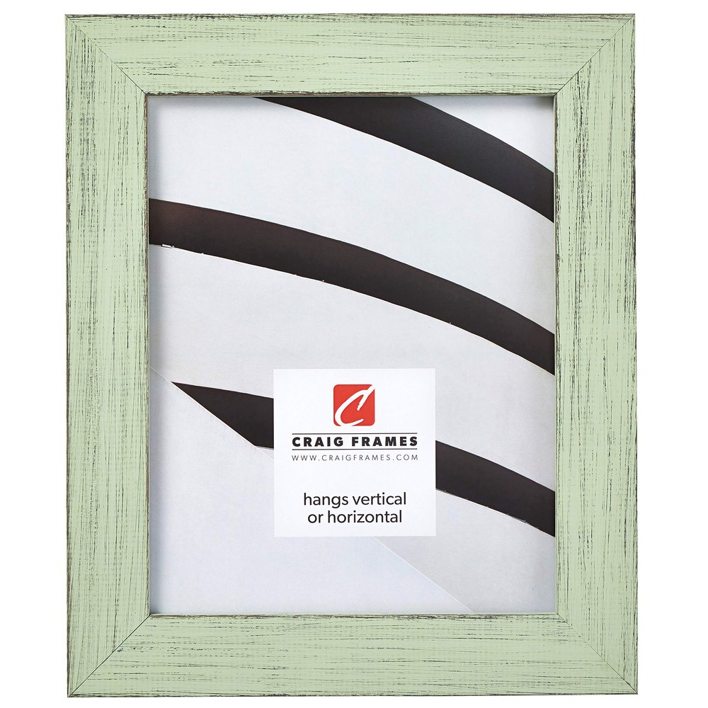 Craig Frames Jasper Picture Frame, 22 x 34 Inch, Country Mint Julep