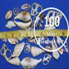 Salty Pelican 100 Sliced Seashells Assorted, 3/4" to 5", CS-1 view 1