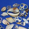 Salty Pelican 100 Sliced Seashells Assorted, 3/4" to 5", CS-1 view 2