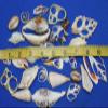 Salty Pelican 100 Sliced Seashells Assorted, 3/4" to 5", CS-1 view 3