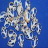 Salty Pelican 100 ~ Small Center Cut Seashells Babylonia, DIY Seashell Jewelry Crafts, 1 inch to 1 1/2 inch, CS-2 view 3