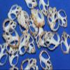 Salty Pelican 100 ~ Small Center Cut Seashells Babylonia, DIY Seashell Jewelry Crafts, 1 inch to 1 1/2 inch, CS-2 view 4