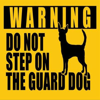 MAGNET 3x5 inch CHIHUAHUA Do Not Step On Guard Dog Sticker - decal dog funny small fun Magnetic vinyl bumper sticker sticks to any metal fridge, car, signs