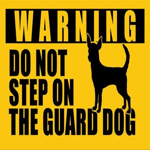 MAGNET 3x5 inch CHIHUAHUA Do Not Step On Guard Dog Sticker - decal dog funny small fun Magnetic vinyl bumper sticker sticks to any metal fridge, car, signs