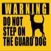 MAGNET 3x5 inch CHIHUAHUA Do Not Step On Guard Dog Sticker - decal dog funny small fun Magnetic vinyl bumper sticker sticks to any metal fridge, car, signs view 1