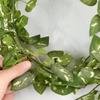 Artificial Ivy Garland | 2 Pieces view 2