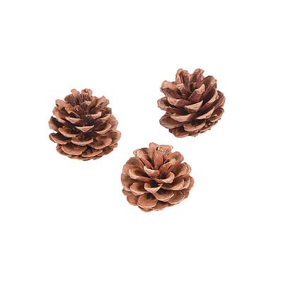 Natural Pine Cones 12Pc - Crafts for Kids and Fun Home Activities