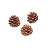 Natural Pine Cones 12Pc - Crafts for Kids and Fun Home Activities view 1