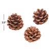Natural Pine Cones 12Pc - Crafts for Kids and Fun Home Activities view 3