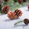 Natural Pine Cones 12Pc - Crafts for Kids and Fun Home Activities view 4