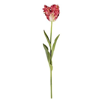 Napa Home & Garden Parrot Tulip STEM 22.5" Dark Pink