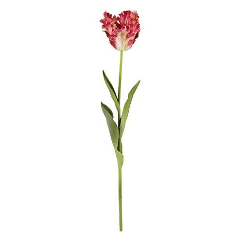 Napa Home & Garden Parrot Tulip STEM 22.5" Dark Pink