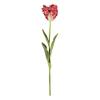 Napa Home & Garden Parrot Tulip STEM 22.5" Dark Pink view 1