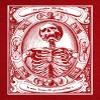 Chat Noir Memento Mori Shirt - Alexander Mair Remember Death Occult Skeleton Skull view 2
