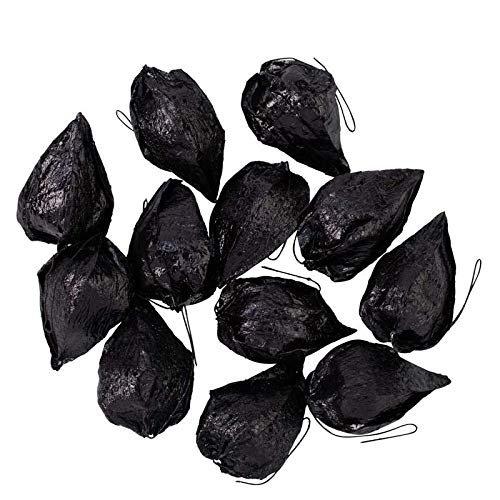 Factory Direct Craft Black Glittered Chinese Lantern Seed Pods | 36 Pieces