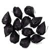 Factory Direct Craft Black Glittered Chinese Lantern Seed Pods | 36 Pieces view 1