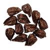 Factory Direct Craft Copper Glittered Chinese Lantern Seed Pods | 36 Pieces view 1