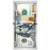 Kaufman - New 100 Dollar Bill Printed Beach and Pool Towel, 6-Pack, 30in x 60in, Multicolor view 4