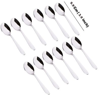 Stainless Steel Very Small Size Spice Box Spoons Set of 12 (Silver) - 12 Pcs