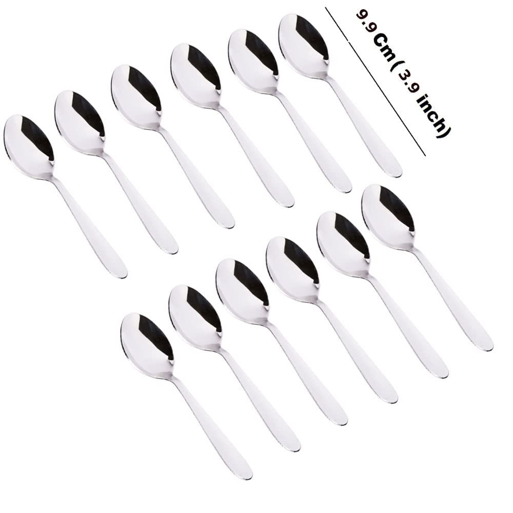 Stainless Steel Very Small Size Spice Box Spoons Set of 12 (Silver) - 12 Pcs