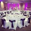 Obstal 50 PCS Satin Chair Sashes Bows for Wedding Reception- Universal Chair Cover Back Tie Supplies for Banquet, Party, Hotel Event Decorations view 3