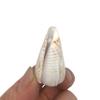 PEPPERLONELY 6 OZ Drilled Sea Shells (#10 Small Mix Shells, 1.5~2 Inch) view 4