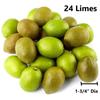 Factory Direct Craft Realistic Artificial Limes Assortment of 24 Fake Limes Citrus Fruits view 2
