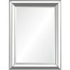 Renwil Hawkwell 30" Modern Wood Framed Mirror in Silver Leaf view 1