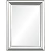 Renwil Hawkwell 30" Modern Wood Framed Mirror in Silver Leaf view 3