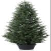 6 Feet Pre-Potted Evergreen Outdoor Artificial Cedar Tree Privacy Screen for Front Porch Decor, Outdoor Entryway Decor Fake Tree, Tall Faux Tree with UV Resistant Coating (1 Pack) view 1