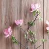 Napa Home & Garden Japanese Magnolia Branch 54" Pink view 2