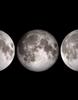 Stickerbrand Moons Phases in the night sky Glossy Photo Print (Poster of Moon Phases) 13in H X 40in W. #P1021s view 4