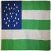American Wholesale Superstore 3x5 New York City Police Dept Department 3'x5' Premium Quality Rough Tex 100D Oxford Polyester Flag view 1