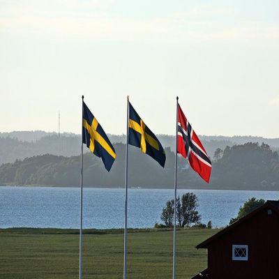 Quality Prints - Laminated 34"x24" Vibrant Durable Photo Poster - Flags Swedish Norwegian Sweden'S Flag