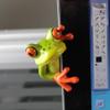 2 Pcs Funny Resin Frogs Decor, 3D Creative Craft Animal Frog Figurine Adorable Office Desk Toy Great for Computer Monitor Desk Decoration view 3