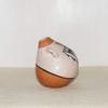 Authentic Hand Coiled Acoma Pueblo Water Jug view 2