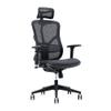 FCD Office Chair Ergonomic Desk Chair with Sliding Seat, Lumbar Support, Adjustable Height, Armrests,Tilt Tension Control and Lock High Back's Mesh Computer Chair view 1
