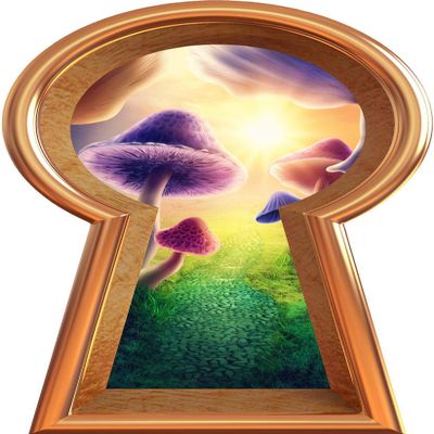 48" Bronze Keyhole 3D Wall Decal Magic Mushroom Wonderland Removable Vinyl Mural Decorations Wall Art for Childrens Nursery Decor - 48" Tall x 27.2" Wide