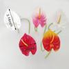 AntranStore 20Pcs Artificial Anthurium Flowers Real Touch Fake Flower for Home Decor Floral Arrangements Bouquets (White) view 3