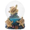 Elanze Designs Coral Reef Sea Turtles 100MM Sturdy Wind Up Musical Glitter Water Snow Globe Tabletop Dresser Nightstand Figurine Decoration Plays Tune Wonderful World view 1