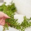Artificial Boxwood Garland view 2