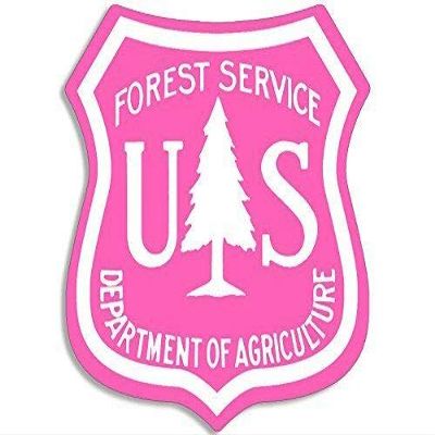 MAGNET 2.5 inch HOT Pink US Forestry Shield Shaped Sticker (Logo Forest Service Badge) Magnetic vinyl bumper sticker sticks to any metal fridge, car, signs