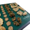 9 Silicone Non Stick Sheets fits Sedona Dehydrator Combo Classic Supreme P9000 + P9150 SDC-S101 fruit roll up crackers Teflon-Free view 2