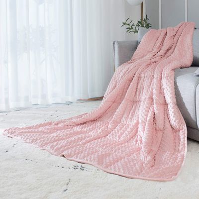 ALANSMA Reversible Weighted Blanket for All Season, Luxury Velvet, Warm and Cool, Adult Kids 15Lb Weighted Blanket, Enjoy Sleeping Anywhere(Pink,60"x80" 15lbs)
